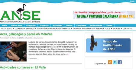 Web de ANSE