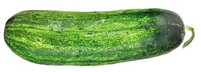 Pepino Pepino