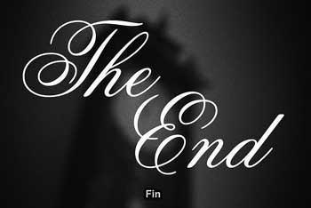 The end Fin